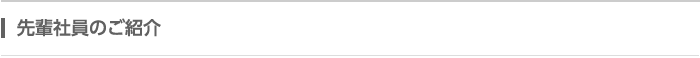 先輩社員のご紹介